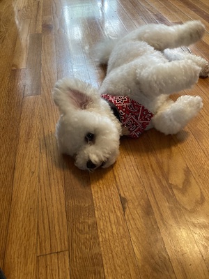 Mickey