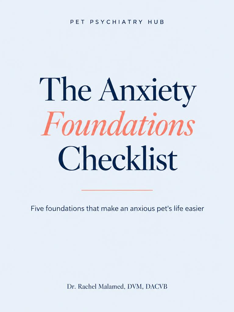 Cover of The Anxiety Foundations Checklist