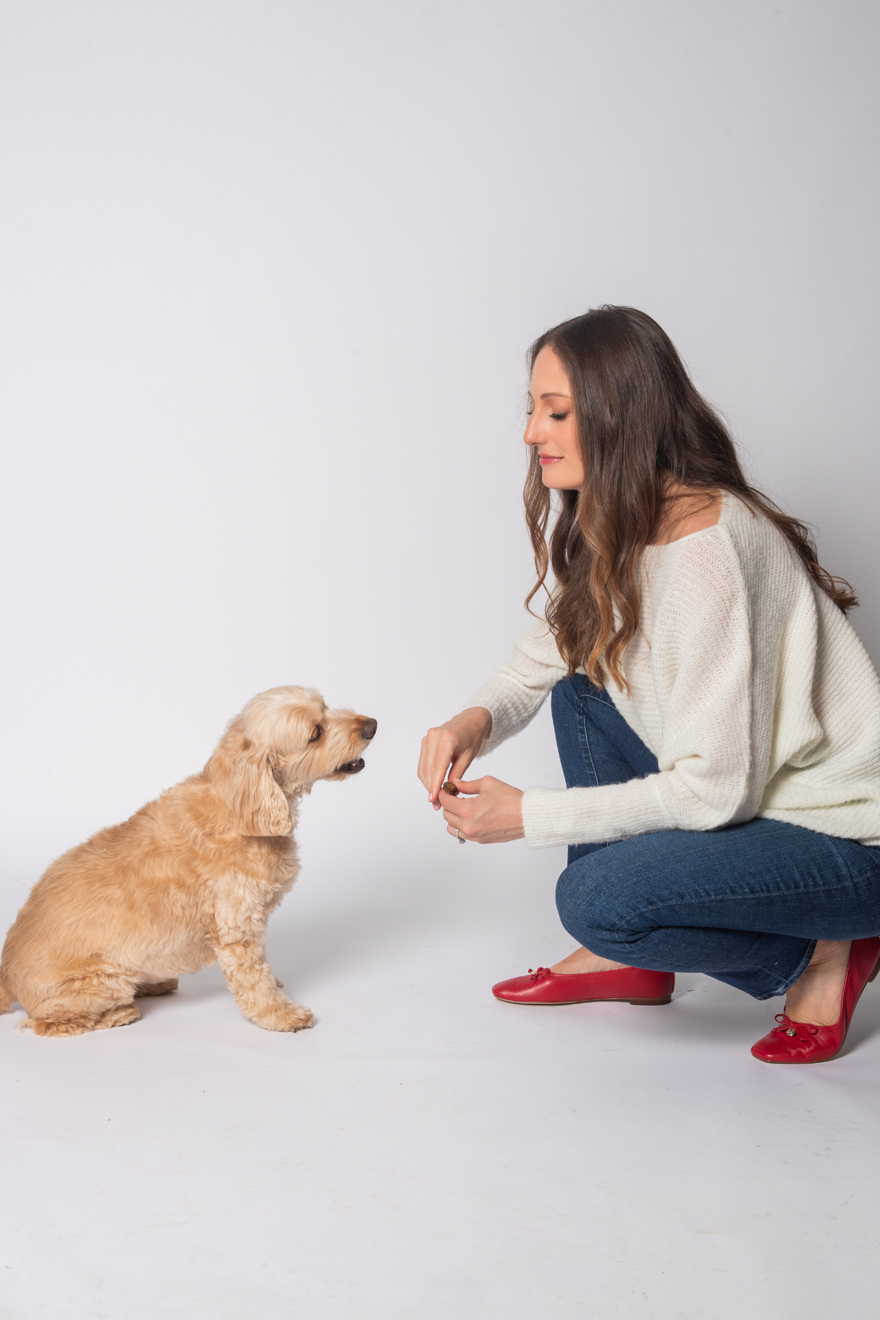 Dr. Rachel Malamed, board-certified veterinary behaviorist