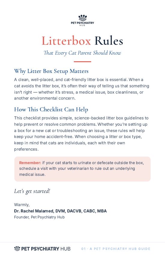Cover of Litterbox Rules Every Cat Parent Should Know