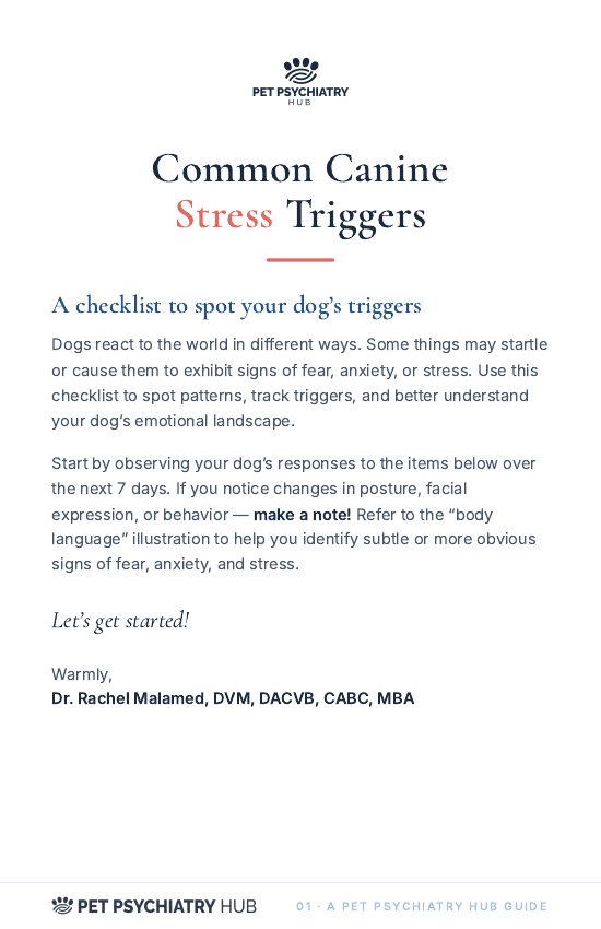 Cover of Common Canine Stress Triggers