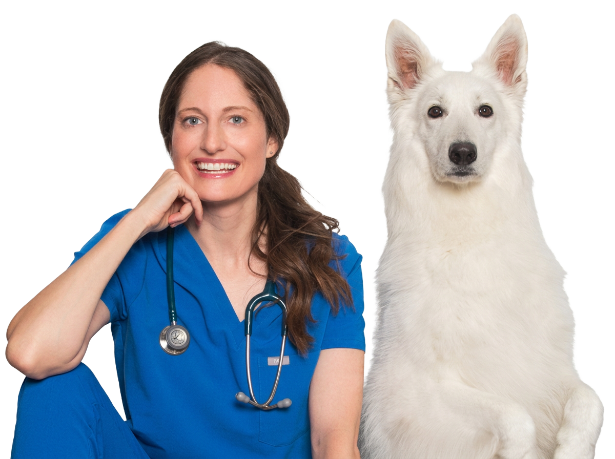 Dr. Rachel Malamed with Luna, her white shepherd